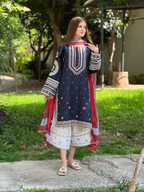 DASTAAN Embroidered 3 pc