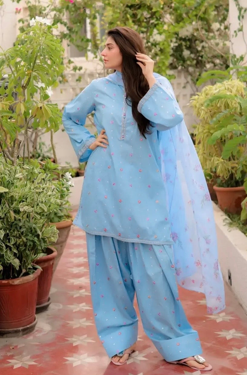 SKY DREAM Embroidered 3 pc